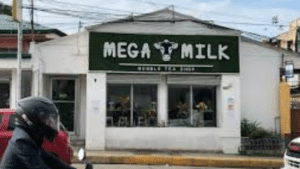 宿霧遊學中華美食推薦06：Mega Milk