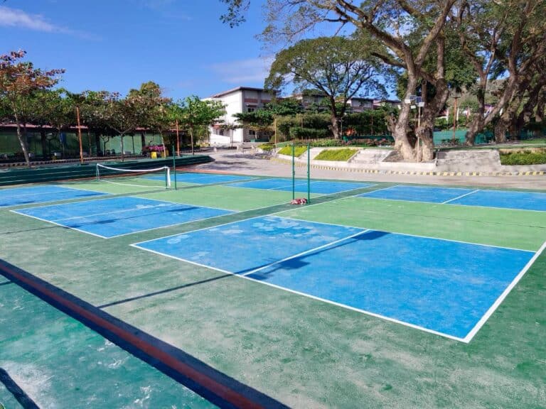 Badminton and Pickle Ball_0