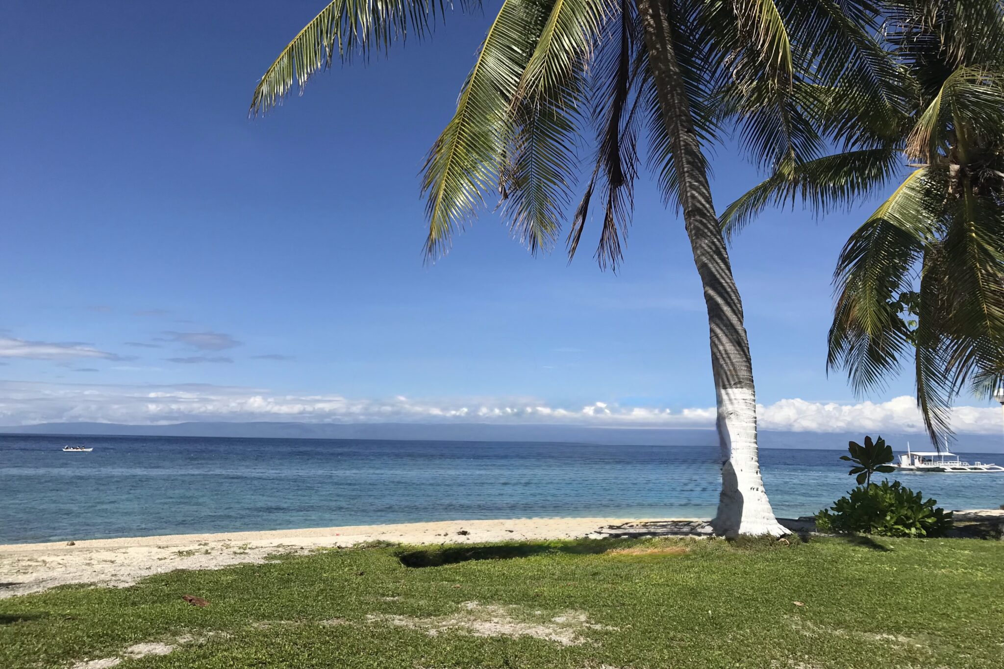 Alona Beach